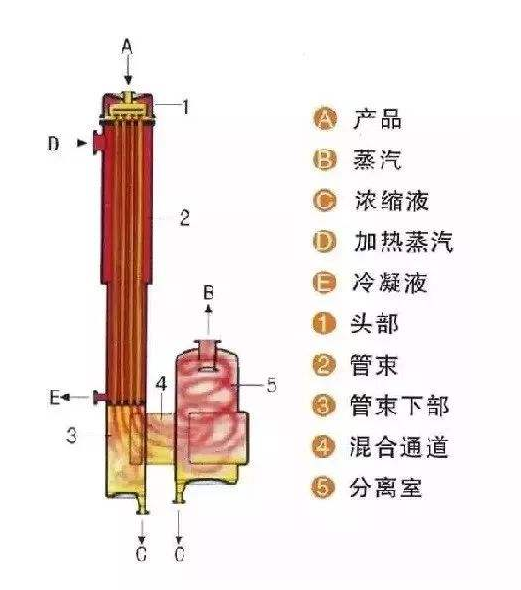 刮板薄膜蒸發(fā)器結構圖